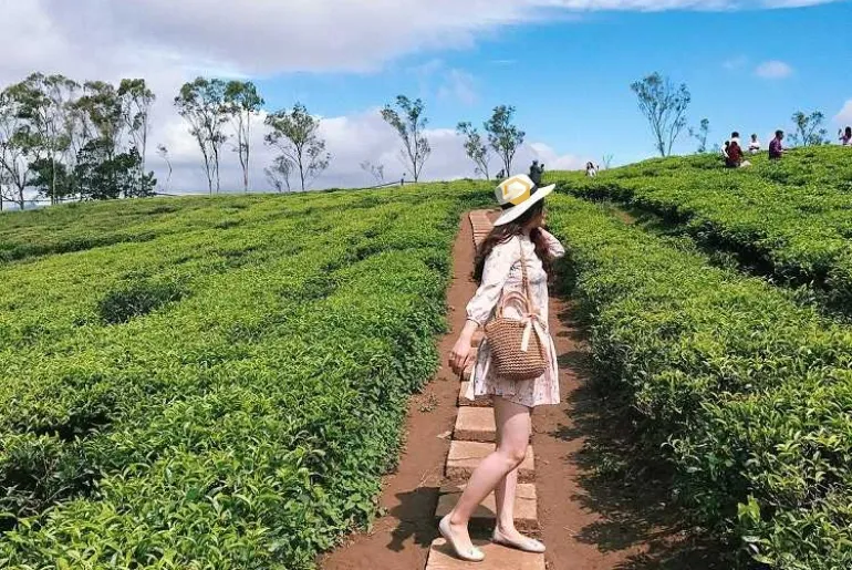 Mui Ne: Bao Loc (Lam Dong) – “Second Da Lat” Trip 2